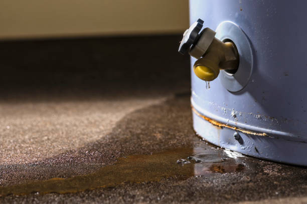 Reliable Markham, IL Water damage restoration Solutions